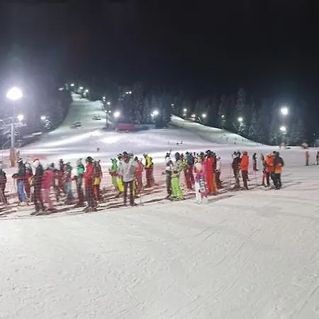 Iglika 2 Snowy Night V18 * Borovec