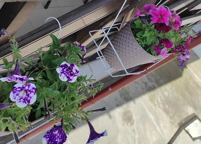 Hotel Iglika 2 Snowy Night V18 *