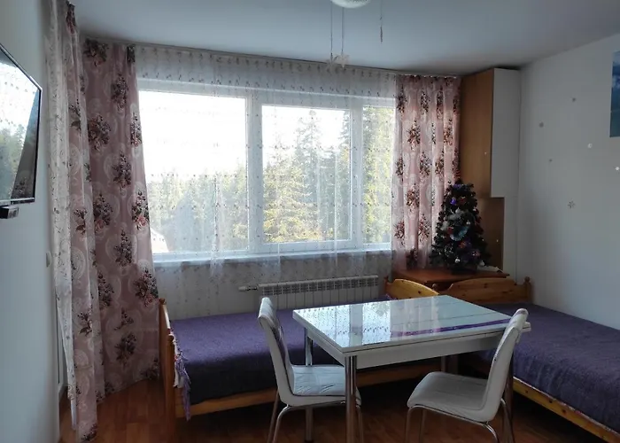 Iglika 2 Snowy Night V18 Borowec