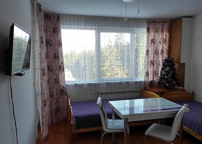 Hotel Iglika 2 Snowy Night V18